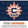 image:imageFranklin Sports WNBA Mini Over the Door Basketball HoopConnecticut Sun